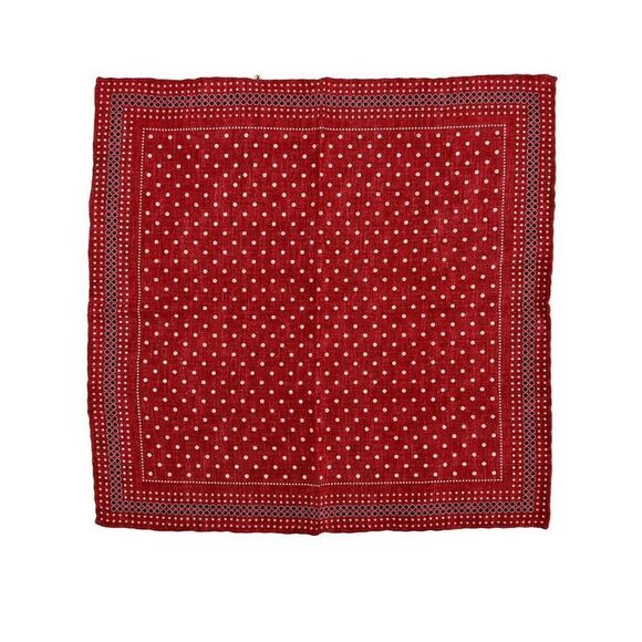 NWT Brunello Cucinelli Men’s Double-Face Silk Pocket Square - Polka Dot & Hounds - Picture 3 of 8